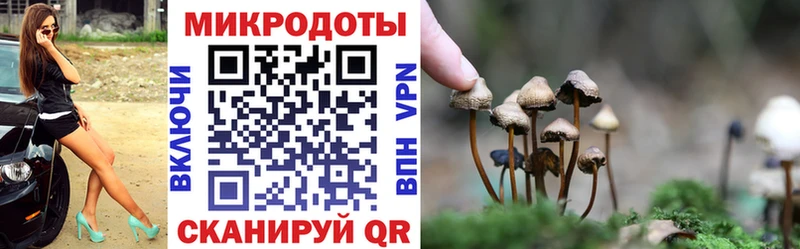 Купить где Нолинск Галлюциногенные грибы GOLDEN TEACHER